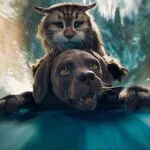 Cão e Gato crítica do filme Netflix 2024
