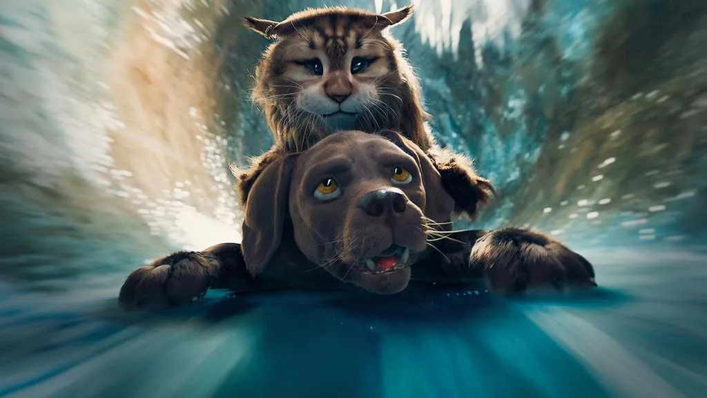 Cão e Gato crítica do filme Netflix 2024