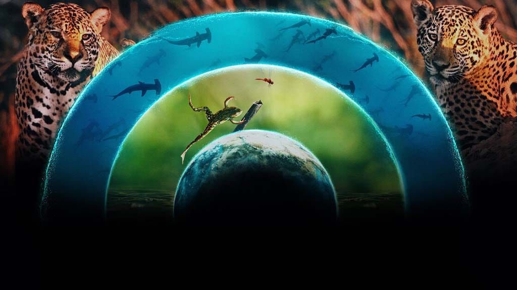 Planeta Vivo crítica da série documental Netflix 2024