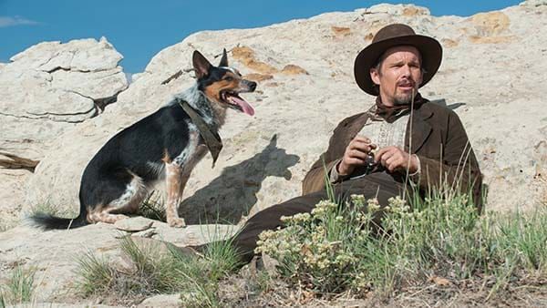 Confira a crítica de "Terra Violenta", filme de 2016 com Ethan Hawke, John Travolta e Taissa Farmiga que está disponível na Netflix.