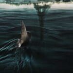 Confira a crítica de "Sob as Águas do Sena", filme de ação e terror francês disponível para assinantes da Netflix.