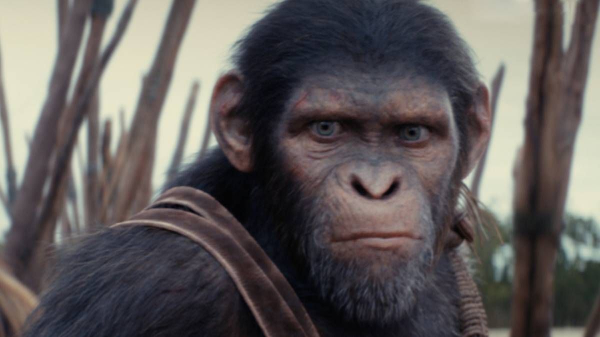 Confira os principais lançamentos de filmes e séries do Disney+ em agosto de 2024: fique por dentro das estreias e novidades do mês.