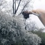 Confira a crítica do episódio 7 de "A Mulher no Lago", final da série com Natalie Portman disponível para assistir na Apple TV+.