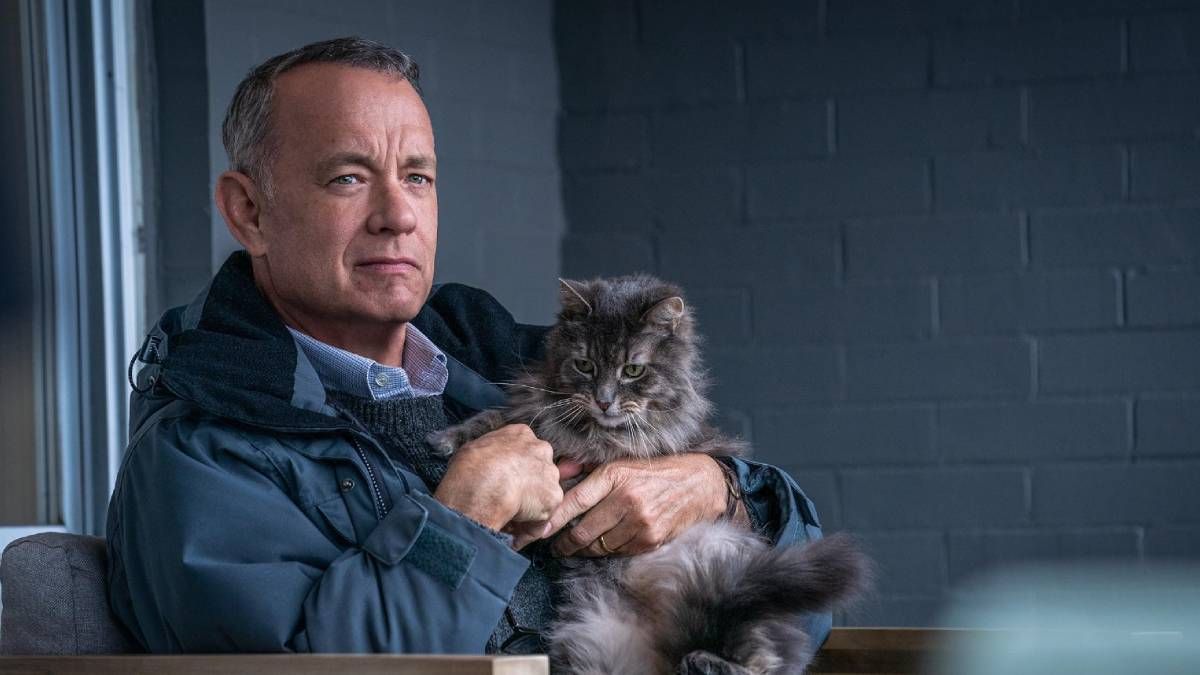 Confira a crítica do filme "O Pior Vizinho do Mundo", comédia dramática de 2023 com Tom Hanks disponível para assistir no Prime Video.