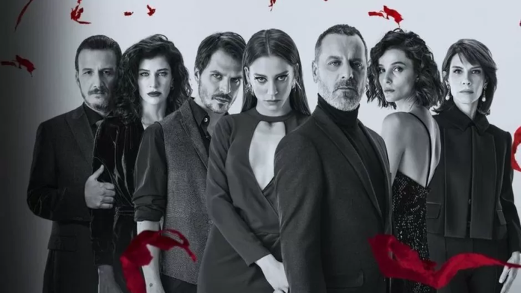 Onde assistir séries turcas conheça os melhores streamings para acompanhar suas produções favoritas (5)