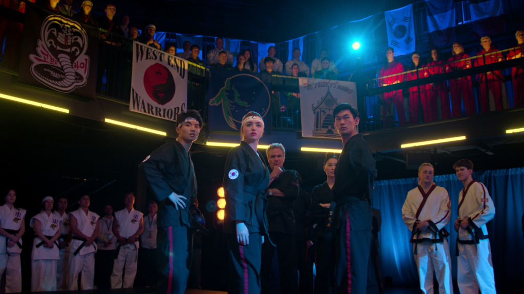 ‘Senna’, ‘Cobra Kai’ e ‘Arcane’ novembro na Netflix traz séries muito aguardadas (8)