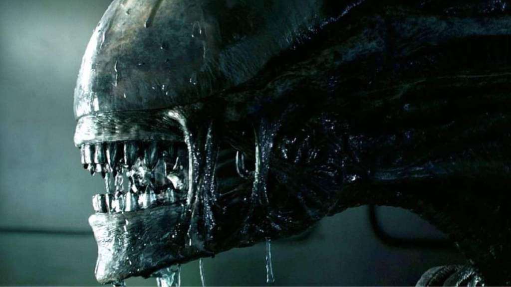 Disney+ anuncia GRANDES novidades na programação 2025 CONFIRA! (4)