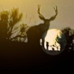 Confira a crítica de "Investigação Alienígena", série documental de 2024 disponível para assistir na Netflix