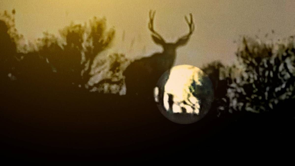 Confira a crítica de "Investigação Alienígena", série documental de 2024 disponível para assistir na Netflix