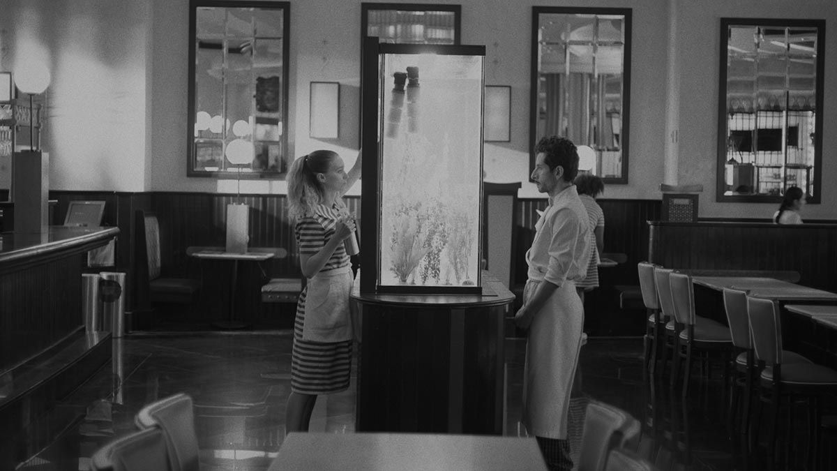 Confira a crítica do filme "A Cozinha", coprodução de 2024 entre México e EUA disponível para assistir na Max.