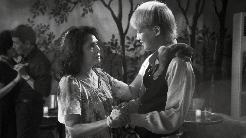 Filmicca chega em fevereiro com premiação e polêmica veja os lançamentos do mês