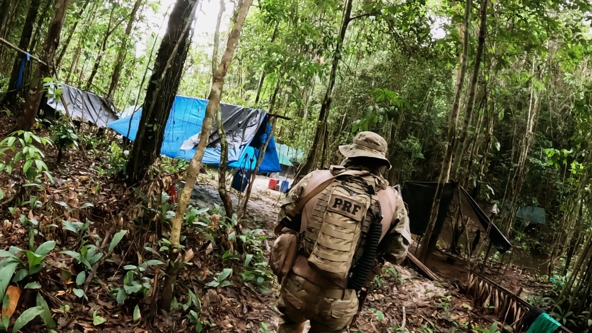 Operação Fronteira 4