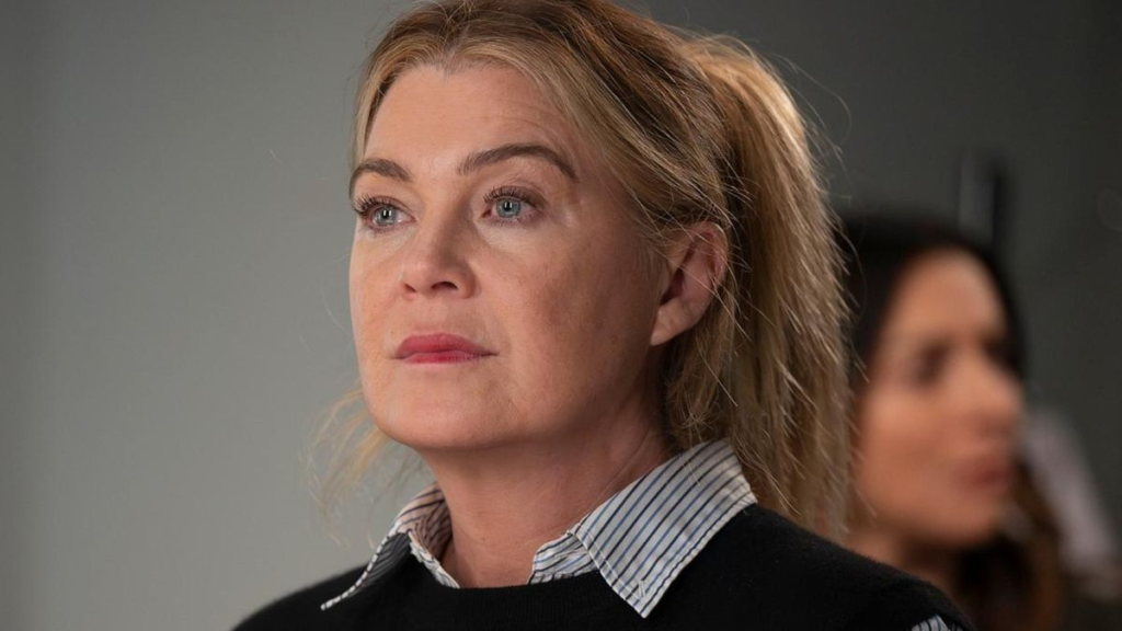 21ª temporada de ‘Grey’s Anatomy’ chega ao Brasil saiba onde assistir (1)