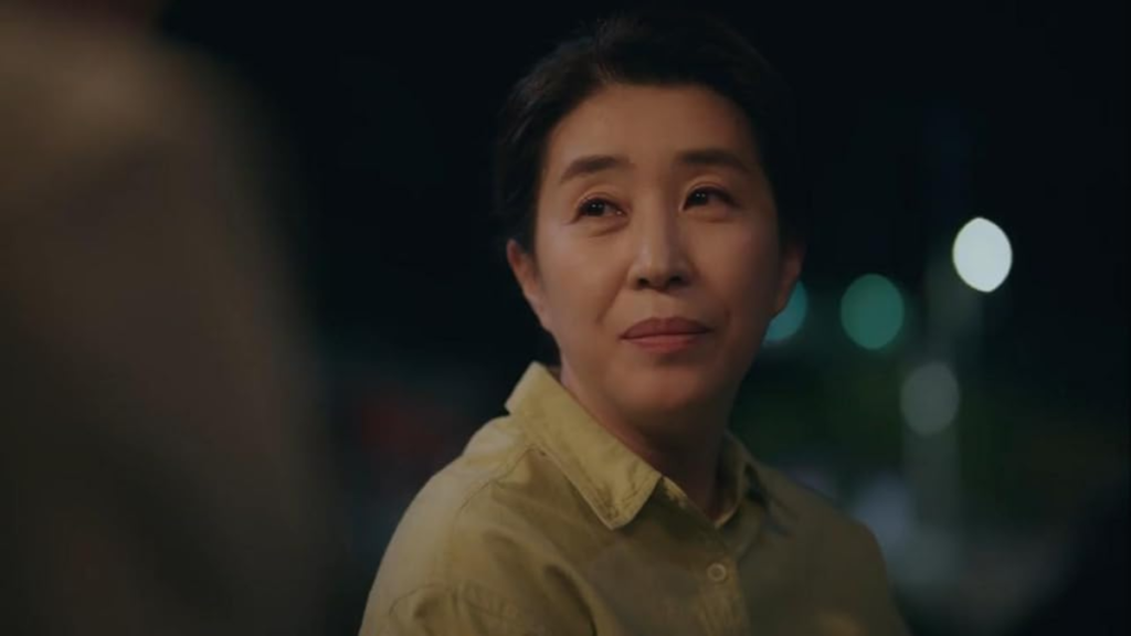 Conheça o elenco de ‘Meu Querido Nêmesis’, novo dorama de SUCESSO da Viki (11)