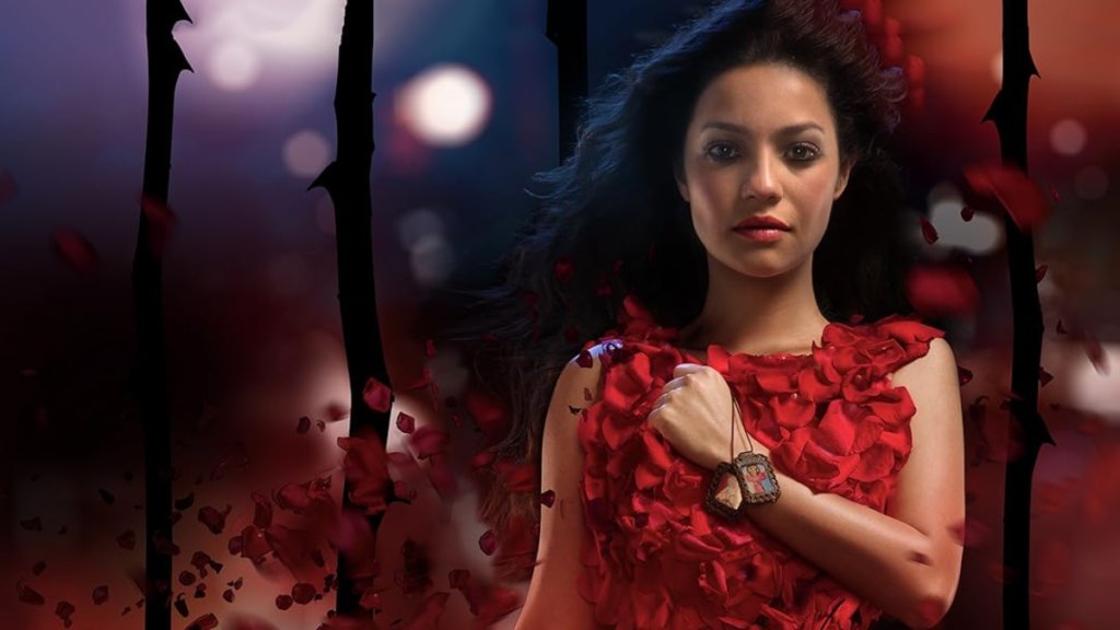 TNT também tem novelas turcas conheça as melhores (3)