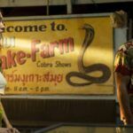 Confira a crítica do episódio 3 da temporada 3 de "The White Lotus", série de 2025 disponível para assistir na Max