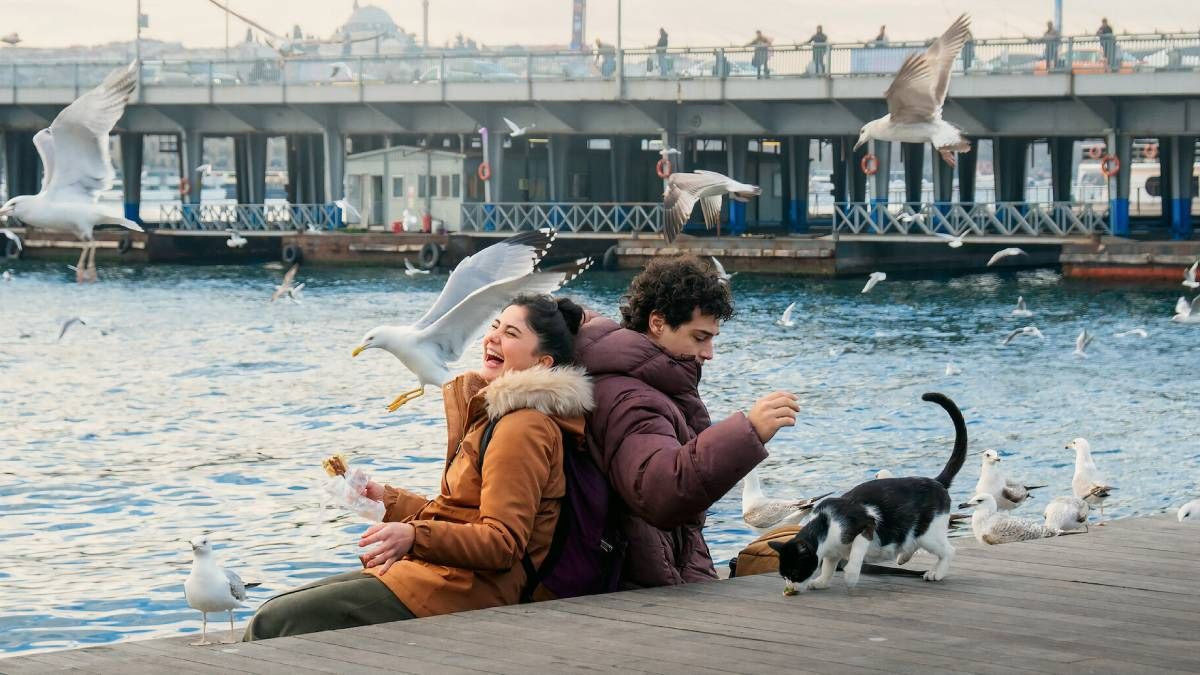 Confira a crítica da série "A Enciclopédia de Istambul", drama turco de 2025 disponível para assistir na Netflix