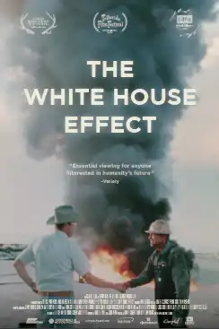 Mostra Ecofalante 2025 divulga programação_ veja os filmes da 14ª edição