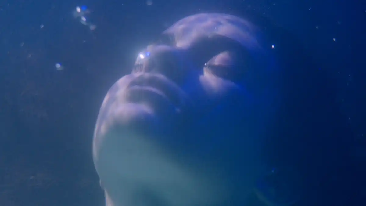 Confira a crítica do filme "Ainda não é Amanhã", drama brasileiro de 2025 que está em cartaz nos cinemas de todo o Brasil.