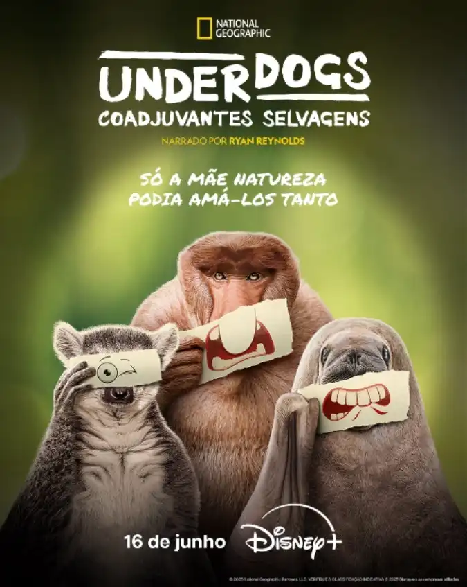 ‘Coração de Ferro’, ‘O Urso 4’ e série do Predador são os grandes destaques do Disney+ em junho de 2025; CONFIRA!