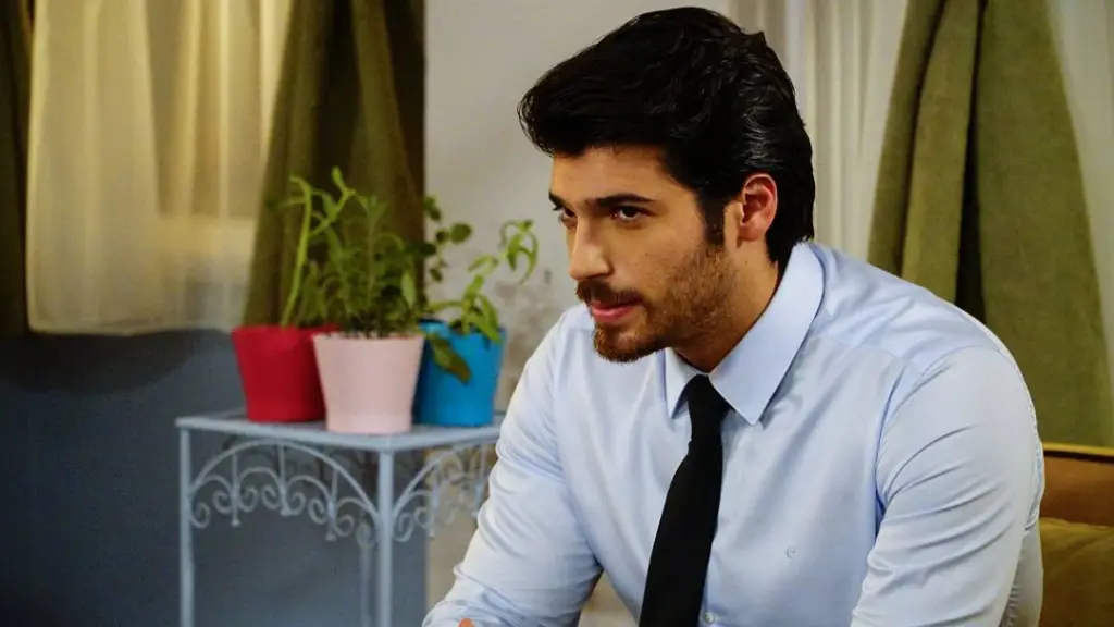 Can Yaman no elenco de Dolunay