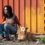 Crítica do filme brasileiro Suçuarana (2025) - Flixlândia