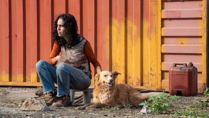 Crítica do filme brasileiro Suçuarana (2025) - Flixlândia