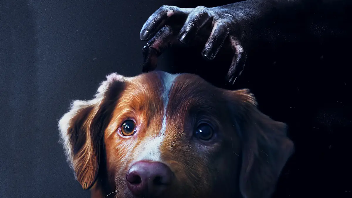 Leia a crítica do filme Bom Menino (2025) - Flixlândia