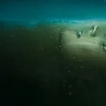 Absentia 3 temporada resenha crítica Netflix 2025 Flixlândia