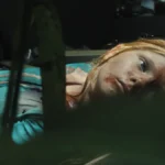 Transamazônia resenha crítica do filme 2026 Flixlândia