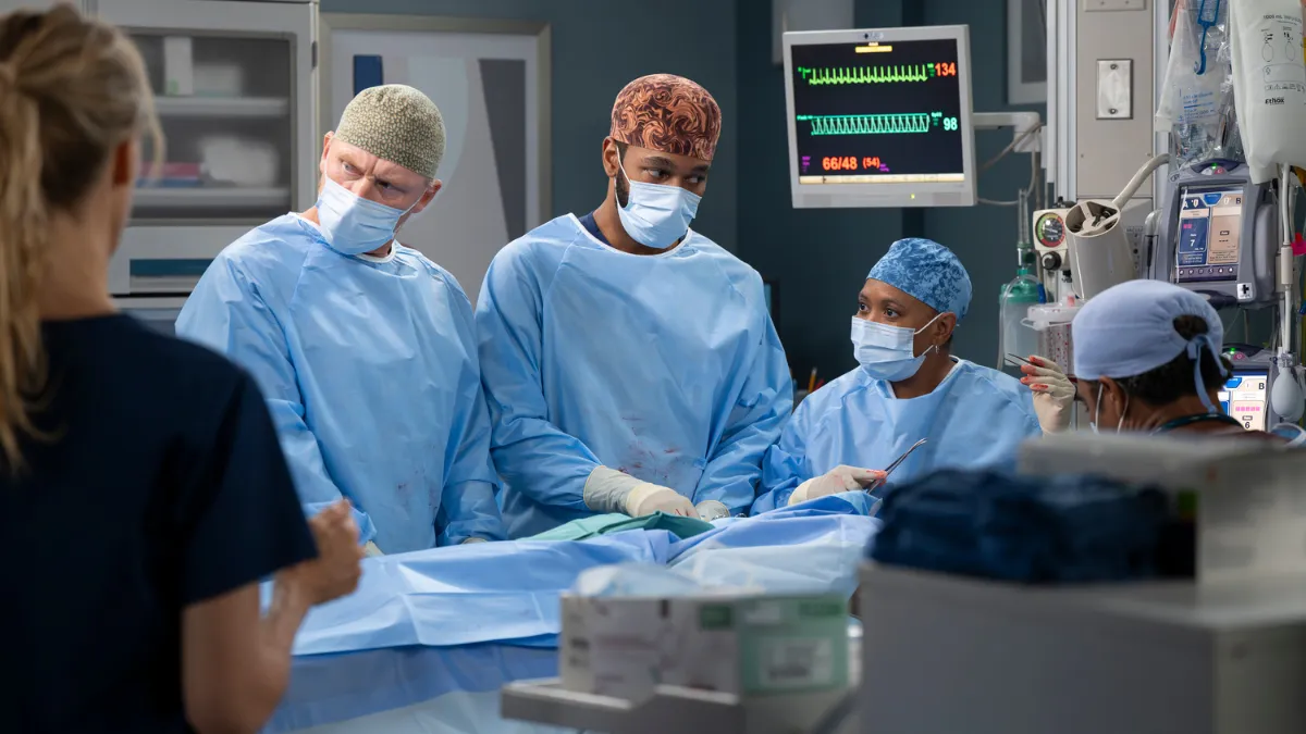 22ª temporada de ‘Grey’s Anatomy’ chega ao Brasil saiba onde assistir (1)