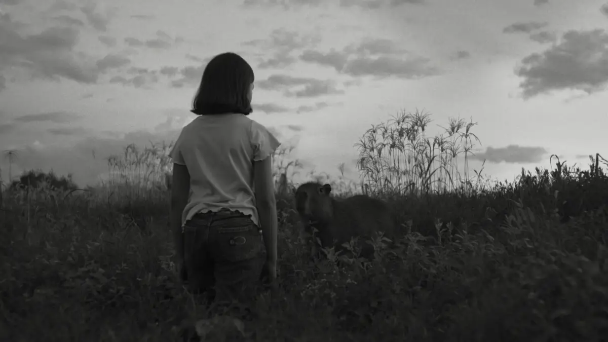 A Mensageira 2026 crítica do filme - Flixlândia