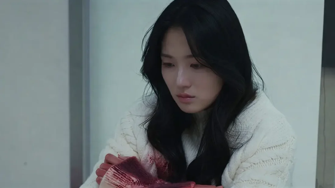 De Repente Humana episódio 12 crítica do final do dorama da Netflix - Flixlândia