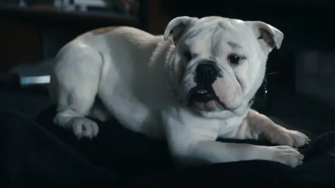 The Boys 5 Temporada Episódio 5 Crítica da série do Prime Video - Flixlândia (1)