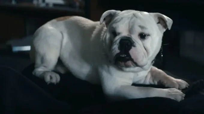 The Boys 5 Temporada Episódio 5 Crítica da série do Prime Video - Flixlândia (1)