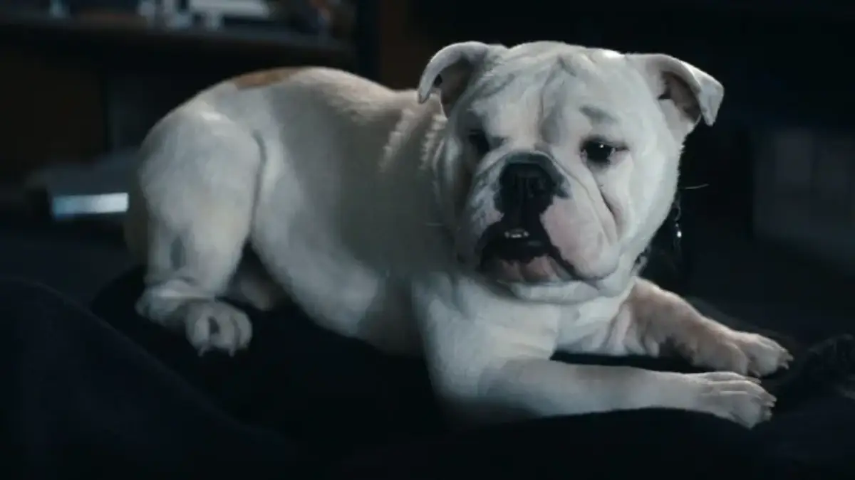 The Boys 5 Temporada Episódio 5 Crítica da série do Prime Video - Flixlândia (1)