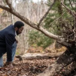 Origem cena do episódio 10 final da temporada 4 da série