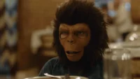 filme brasileiro Pequenas Criaturas de 2026