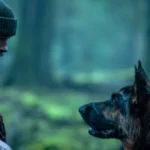 Coração Selvagem crítica do filme com Brad Pitt (2026)