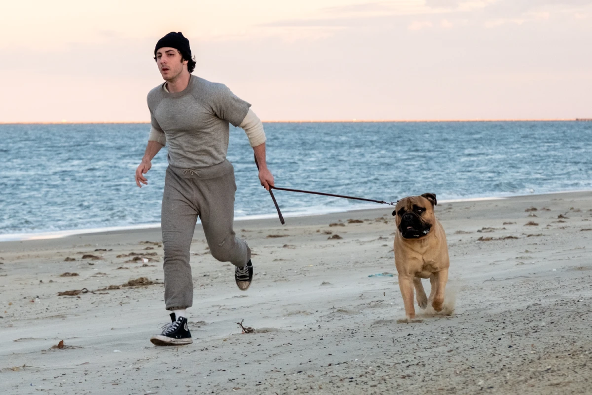eu sou o rocky trailer dublado elenco data de lançamento