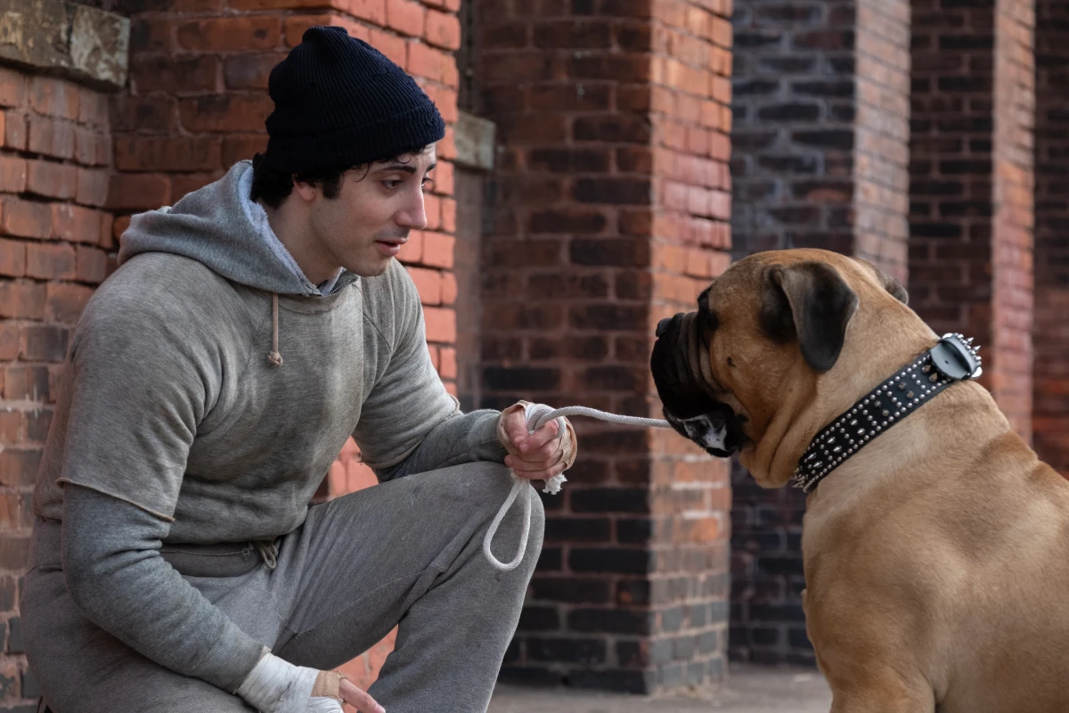 eu sou o rocky trailer dublado elenco data de lançamento